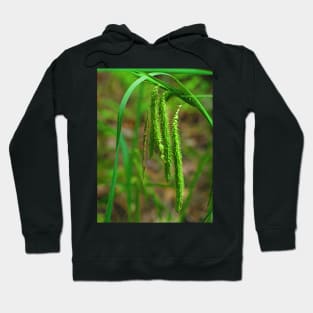 Harvest Hoodie